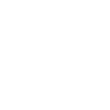 LS Painting Logo White